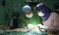Researchers at the Burn and Reconstructive Medicine Research Center of Guilan University of Medical Sciences for the first time in the country succeeded